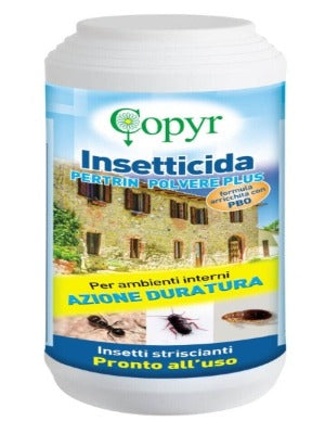 INSETTICIDA COPYR IN POLVERE 1KG CONTRO SCARAFAGGI, ACARI, PULCI, CIMICI, VESPE